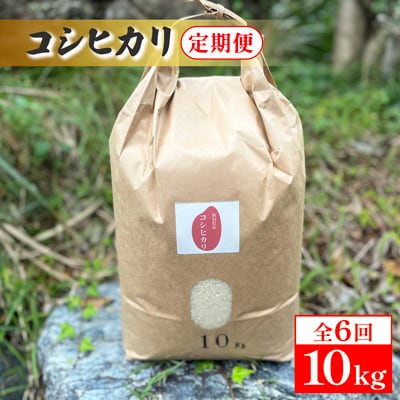 【毎月定期便】新潟県産コシヒカリ　10kg全6回