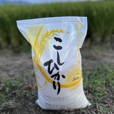 【毎月定期便】新潟県産コシヒカリ　5kg全6回