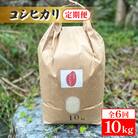 【毎月定期便】新潟県産コシヒカリ　10kg全6回