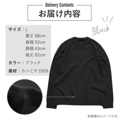 カシミヤ100%メンズVネックセーターLサイズ(ブラック)