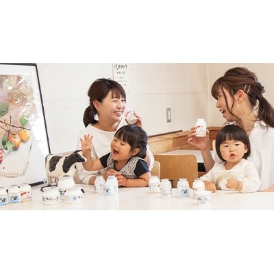 いちだヨーグルトNS(砂糖不使用)150ml×18本入