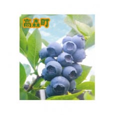 【南信州産】ブルーベリー(生)　100g×4パック入り | ふるさと納税のお礼品