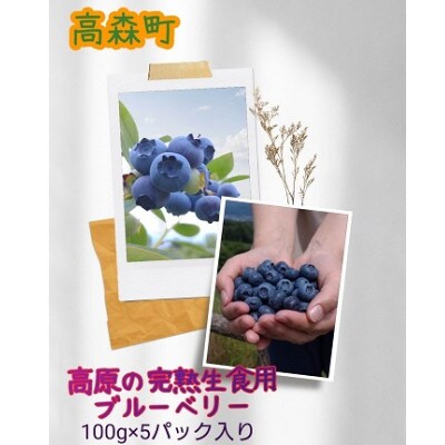 【南信州産】ブルーベリー(生)100g×5パック入り
