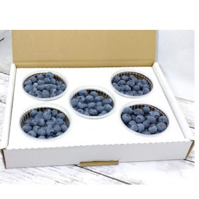 【南信州産】ブルーベリー(生)100g×5パック入り