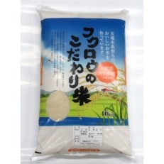 年産 こしひかり玄米袋詰め10kg お礼品詳細 ふるさと納税なら さとふる