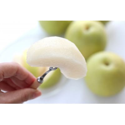 【長野県産】果汁たっぷりの梨(二十世紀梨)約10kg 秀品