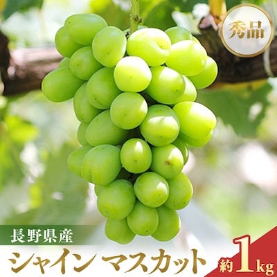 【大人気!】長野県産・シャインマスカット(約1kg) 秀品〈2025年9月中旬～11月上旬発送〉