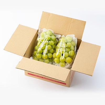 【大人気!】長野県産・シャインマスカット(約1kg) 秀品〈2025年9月中旬～11月上旬発送〉
