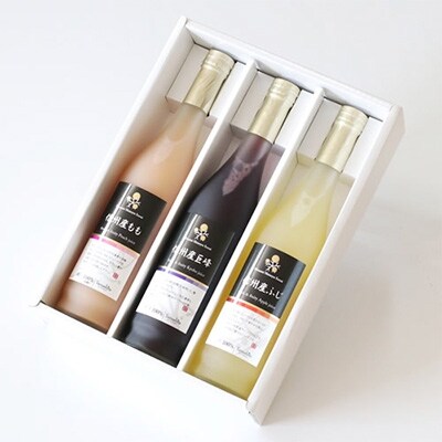 長野・信州産 果汁100% くだものジュース500ml×3本セット(りんご・もも・ぶどう)