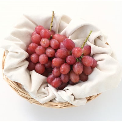 【産地厳選!】長野県産・クイーンルージュ 秀品 約2kg(3～5房)