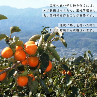 【南信州産】 市田柿　大粒10粒　(化粧箱個包装10粒　約280g)　12月中旬から順次発送
