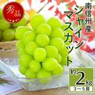 2025年発送　数量限定【南信州産】シャインマスカット 約2kg (3～5房)