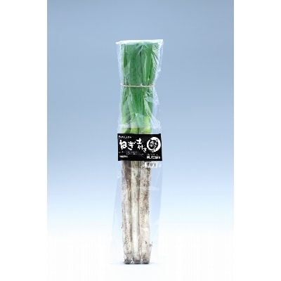 【南信州産】　土付きねぎ　3kg　(600g×5袋)