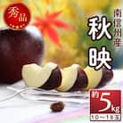 果汁がおいしい!【南信州産】秋映　約5kg　