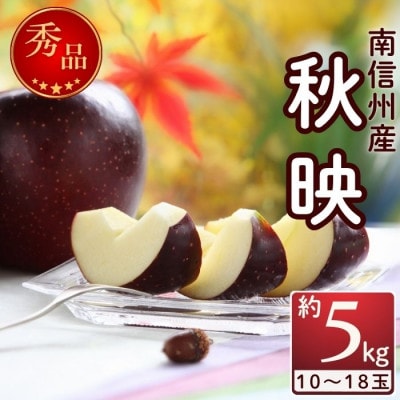 果汁がおいしい!【南信州産】秋映　約5kg　