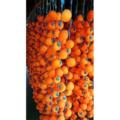 〔南信州高森産〕市田柿 2パック入り 化粧箱