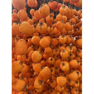 南信州高森産 袋入り市田柿(L~2Lサイズ) 400g×2袋