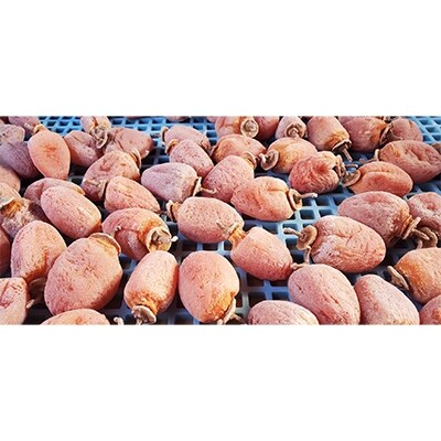 南信州高森産 袋入り市田柿(L~2Lサイズ) 400g×2袋