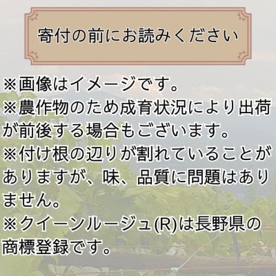 クイーンルージュ(R)約1.8kg(3～4房)【9月中旬より順次発送】