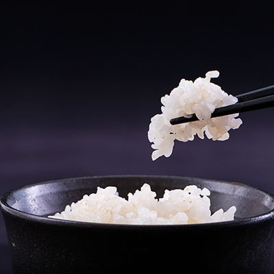 南信州高森産】2024年産新米コシヒカリ精米10kg (5kg×2袋