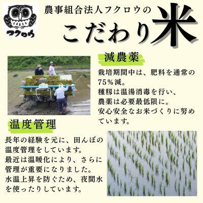 2025年産【南信州高森産】コシヒカリ玄米 5kg