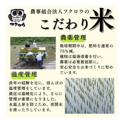 2025年産【南信州高森産】長野県オリジナル米「風さやか」精米5kg