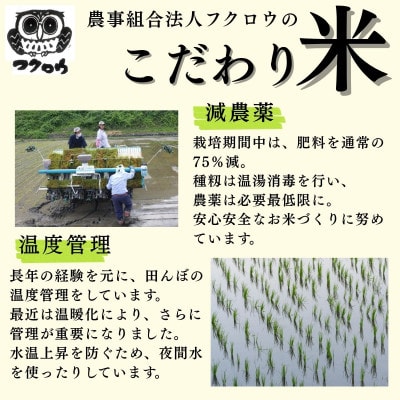 2025年産【南信州高森産】長野県オリジナル米「風さやか」玄米20kg(10kg×2袋)
