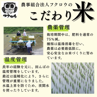 2025年産【南信州高森産】長野県オリジナル米「風さやか」玄米20kg(10kg×2袋)