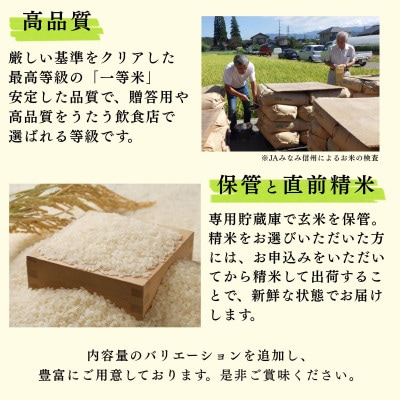 2025年産【南信州高森産】長野県オリジナル米「風さやか」玄米20kg(10kg×2袋)