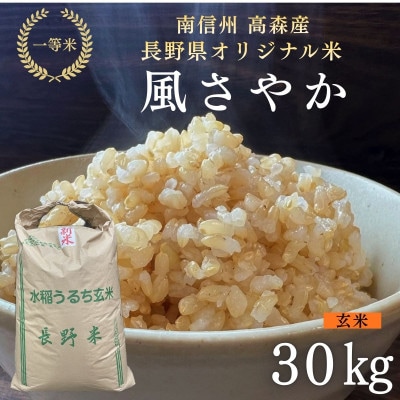2025年産【南信州高森産】長野県オリジナル米「風さやか」玄米30kg