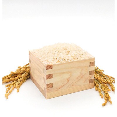 【毎月定期便】【南信州高森産】コシヒカリ精米5kg 全6回