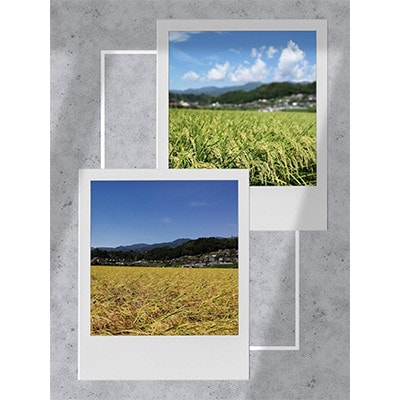 【毎月定期便】【南信州高森産】コシヒカリ精米10kg(5kg×2袋)全6回