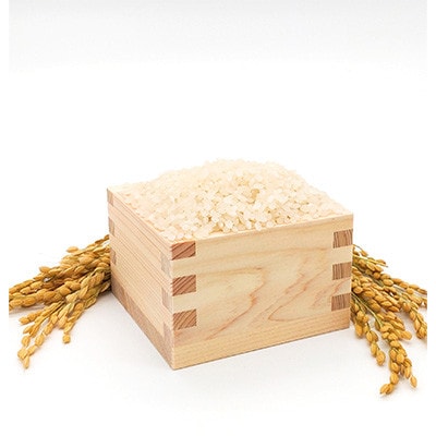 【毎月定期便】【南信州高森産】コシヒカリ精米10kg(5kg×2袋)全6回