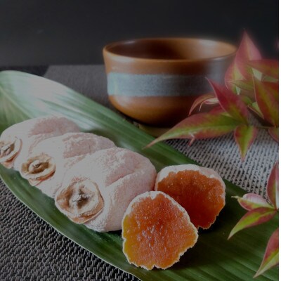 【南信州高森産】市田柿発祥の里 高森町の「市田柿」(L～2Lサイズ) 400g×2袋