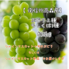 【南信州高森産】シャインマスカットと旬のぶどう(2種類もしくは1種類)約2kg | ふるさと納税のお礼品
