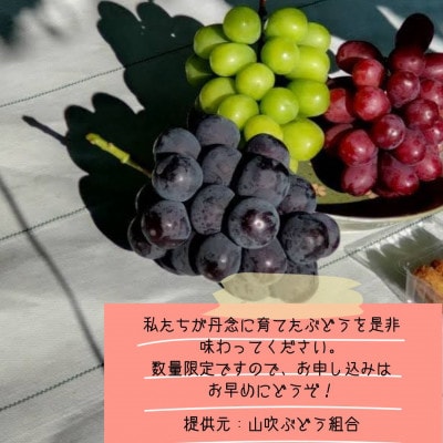 【南信州高森産】シャインマスカットと旬のぶどう(2種類もしくは1種類)約2kg
