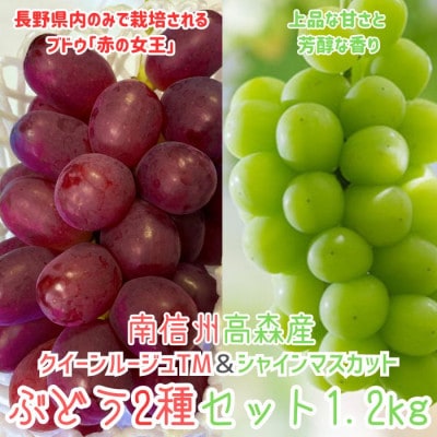 クイーンルージュTM&シャインマスカットぶどう2種セット約1.2kg<2026年9月中旬より発送>