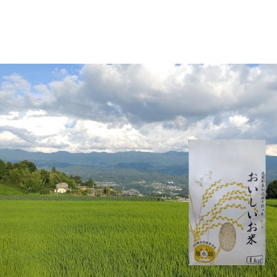 【南信州高森産】キタザワ農園の旬の野菜(6～8種)と コシヒカリ(精米1kg)の詰め合わせ