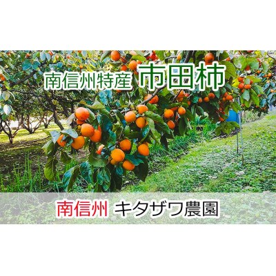 【数量限定】市田柿 1kg 家庭用