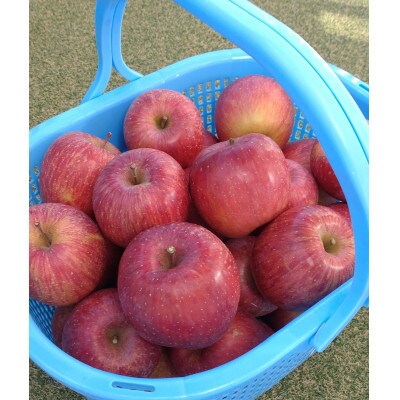 【南信州高森産】サンふじ100%りんごジュース(1L×2本)