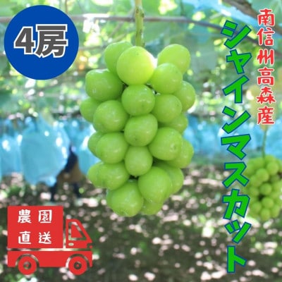 【南信州高森産】シャインマスカット　4房