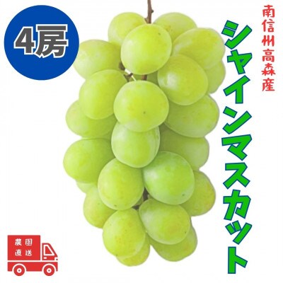【南信州高森産】シャインマスカット　4房