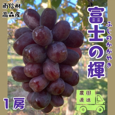【南信州高森産】希少ぶどう 富士の輝　1房