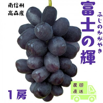 【南信州高森産】希少ぶどう 富士の輝　1房