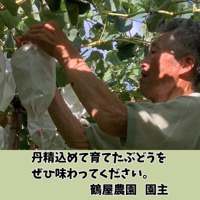 【南信州高森産】シャインマスカット　2房
