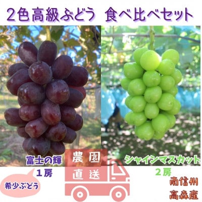 【数量限定】2色高級ぶどう(シャインマスカット2房、富士の輝1房) 計3房食べ比べセット