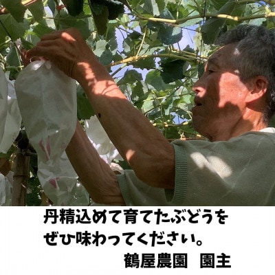 【南信州高森産】訳ありシャインマスカット　4房