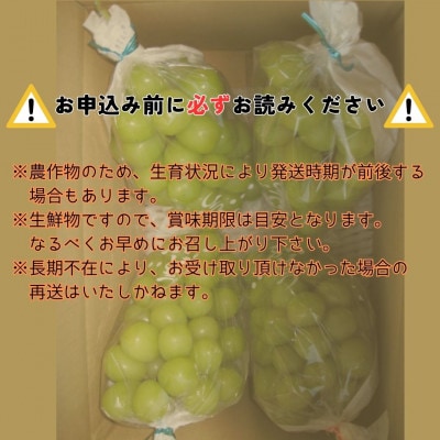 【南信州高森産】訳ありシャインマスカット　4房