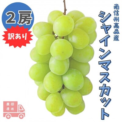 【南信州高森産】訳ありシャインマスカット　2房