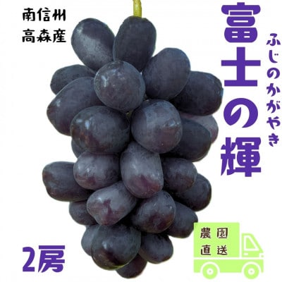 【南信州高森産】希少ぶどう 富士の輝　2房